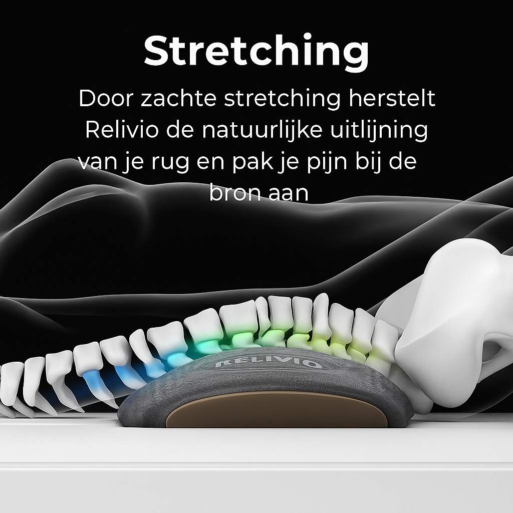 Relivio - 3 in 1 Rugmassager