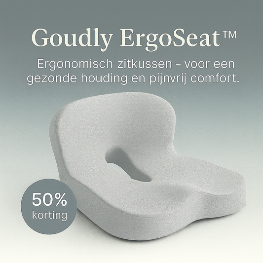 Goudly ErgoSeat